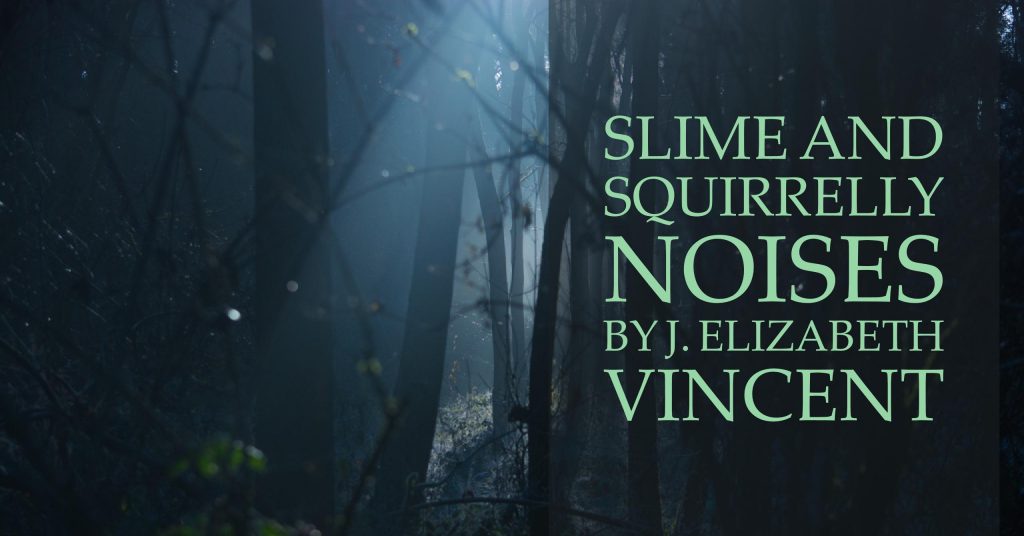 Slime and Squirrelly Noises by J Elizabeth Vincent