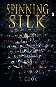 Spinning Silk by T Cook